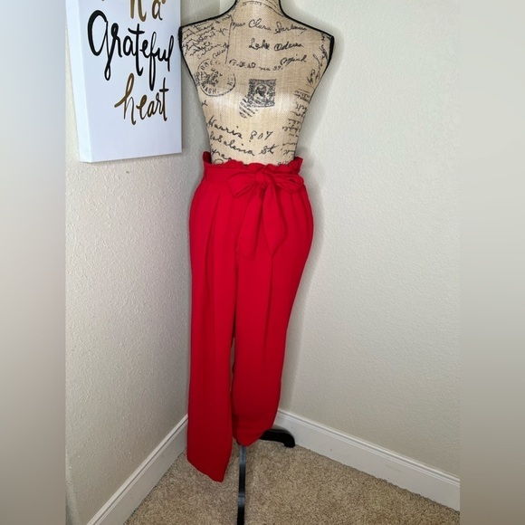 Lane Bryant Belted Slim Leg Red Ankle Pants Size 16 - Picture 3 of 14